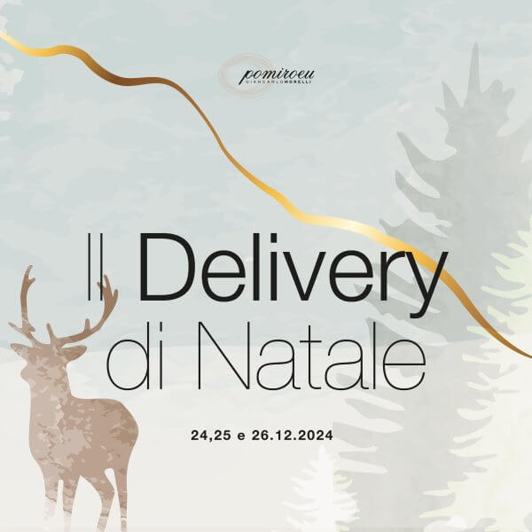 Delivery Natale pranzo